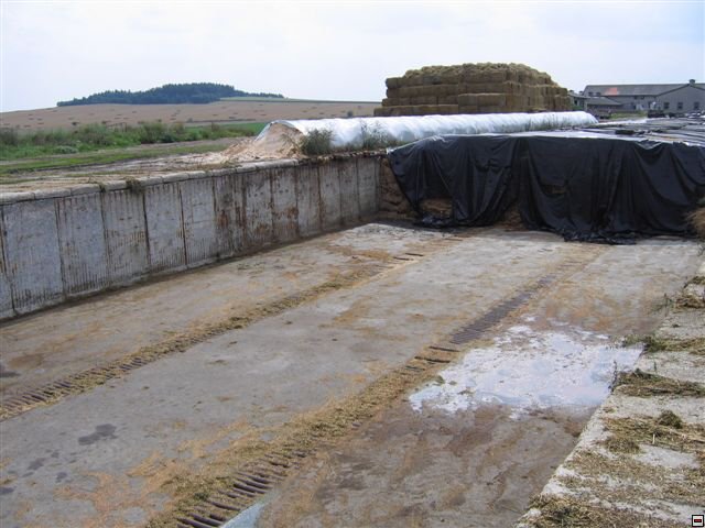 Troubelice 2006 027.jpg